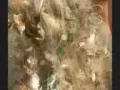 專業 漁網 螃蟹網 地籠  充氣船  撒網 