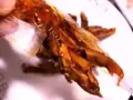 辣板筋，蒙古的板筋，好吃到爆