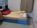 普通房出租