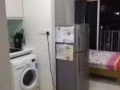Forestville studio apartment for rent 