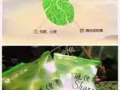 隨便果 排毒功能
