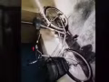 达曼裕廊