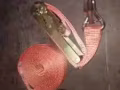 貨物捆綁帶