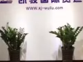 中国至新加坡10年空海运门到门，包清关，包派送 一手大庄 400RMB每立方