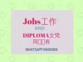老板付学费的Diploma课程