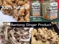 100%纯正文冬姜/姜茶/ 姜粉/ 姜片 - 祛风除湿 舒缓手脚麻痹 促进血液循