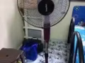 谢谢大家