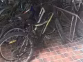 二手自行车转卖