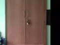 本人寻求一个两门衣柜