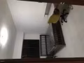 新房招租