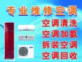 空调专业维修 各种疑难杂症 不冷 漏水 清洗 药水清洗  新（旧）空调安装&移机