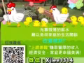 ☆厌倦朝九晚五工作吗? 你在找寻机会吗?想摆脱穷忙族吗？免费询问