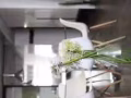 大巴窑 8巷 Blk215