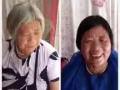 南烛叶