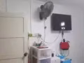 麦波申 主人房出租 $1000价钱可议