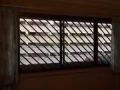 义顺303普通房间可报地址！11.30号入住