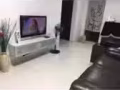 宏茂桥普通房出租