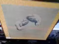 庆元年李迪画