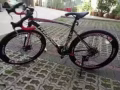 凤凰公路赛便宜