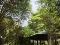 武吉班让670505，5A整套出租，新装修，屋主是画家，房子很漂亮，全家私电器，