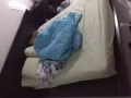 一個單人床和一個雙人床，上門自取。