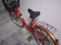 美美噠