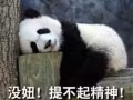 求大士附近二手自行車一台男式，成色好點的