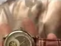 TISSOT 女士手錶