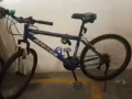 自用自行車轉讓地址丹濱尼