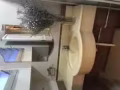 淡宾尼主人房出租