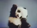 義順主人房床位出租（只限女生）