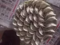 出售手工水饺，欢迎订购