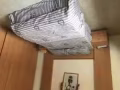 海军部地铁站旁边788，刚拿新房（一共9人），先招男女搭房，夫妻房，储藏室，