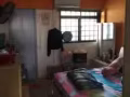 Bedok 3 rm Hdb Flat 出租