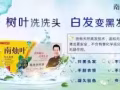 卖南烛叶染发剂,我的微信号：xu141219备注:南烛叶