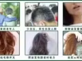 賣南燭葉染髮劑,我的微信號：xu141219備註:南燭葉