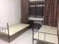 淡滨尼有男女床位出租。