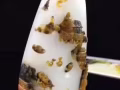 新疆和田玉