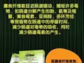 想减肥又不想吃药！那就一定要点进来！！