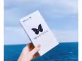 碧缇福美牙仪