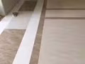店面装修 隔间 防水 油漆 水电  墙纸 拆除安装 木地板复和地板 瓷砖大理石 