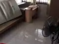 现有一间普通房出租
