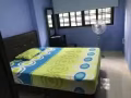 淡滨尼869A普通房出租