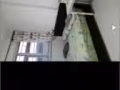 榜鹅 313