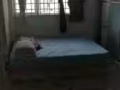 淡滨尼大普通房出租