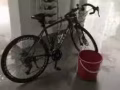 二手公路车