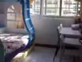 榜鹅新房单间出租