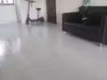 淡滨尼！普通房单间。  大牌289，22街招夫妻！情侣两人间可报地址  干净卫生