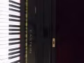 高质量基础考试两用钢琴便宜泪甩