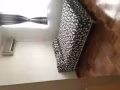 公寓大普通房出租